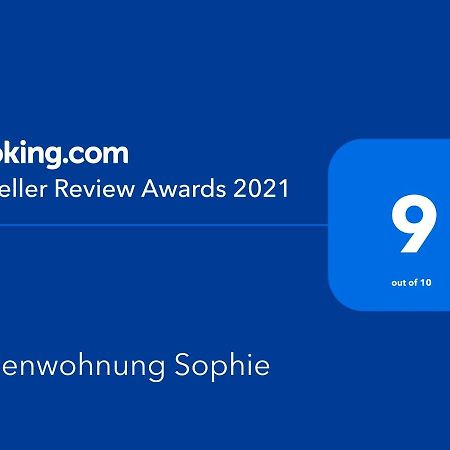 Ferienwohnungen Sophie 萨尔布吕肯 外观 照片