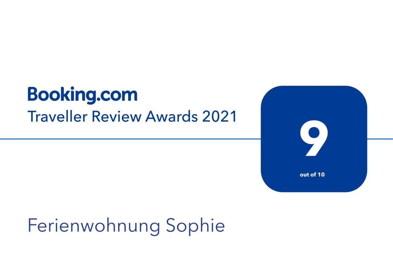 Ferienwohnungen Sophie 萨尔布吕肯 外观 照片
