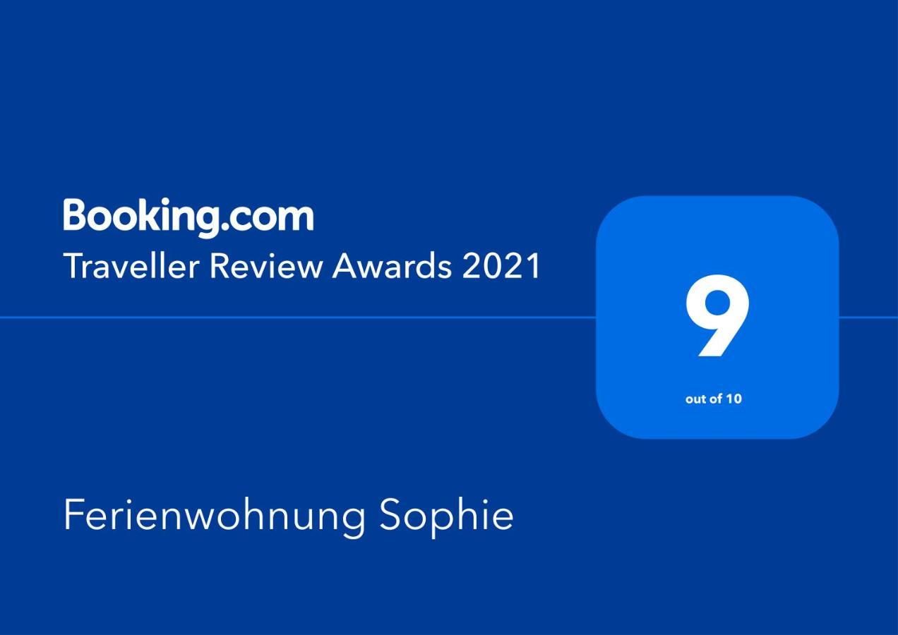 Ferienwohnungen Sophie 萨尔布吕肯 外观 照片